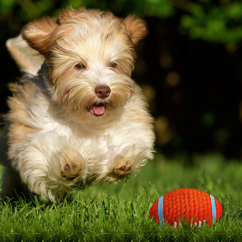 2 Pezzi di Palline Squeaky per - Rugby Training Ball recensione e prezzo