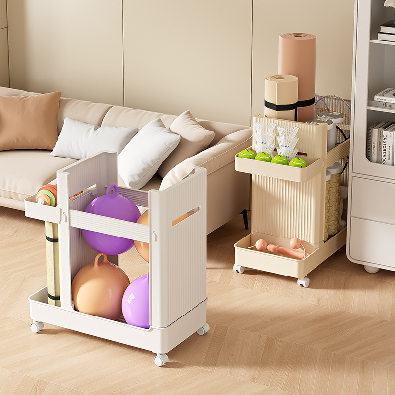 Carrello Portaoggetti per Attr - Sports Equipment Trolley recensione e prezzo